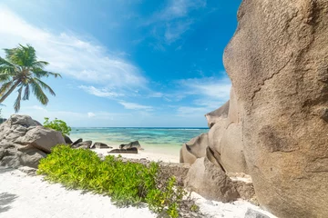 Crédence de cuisine en verre imprimé Anse Source D'Agent, île de La Digue, Seychelles Palm trees and coral reef in a tropical beach