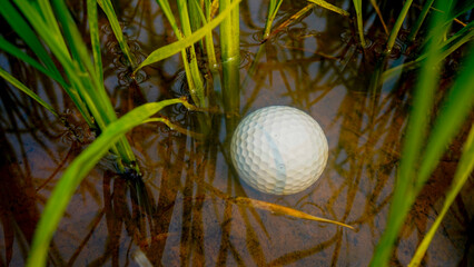 Golf balls are in danger from water. Problems and obstacles of golfers.