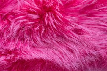 the texture of dyed fox fur. Natural animal skin