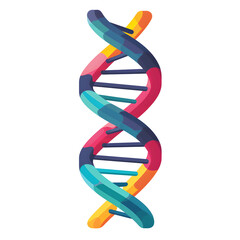 a colorful dna model