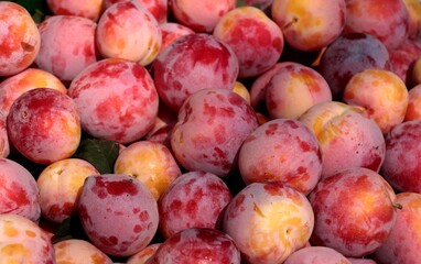 tasty,pink,big plums close up