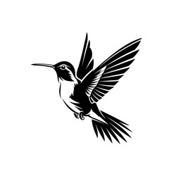 a black and white image of a hummingbird - obrazy, fototapety, plakaty