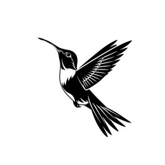 a black and white image of a hummingbird - obrazy, fototapety, plakaty