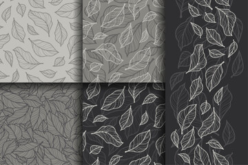 set of vector seamless patterns, pattern with leaves, smooth lines with banner, dark gray shades