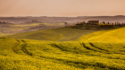 Fototapeta premium Wheat fields tuscan village