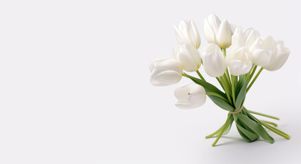 Bouquet of white tulips on a white background. Place for text.