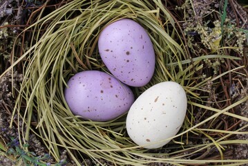 Decorated multicolored easter eggs at nest. Easter decoration. Egg hunt concept. Traditional Easter holiday composition