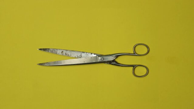 Big Vintage scissors animation on color background. Loopable stop motion animation, 4K top view. DIY video concept