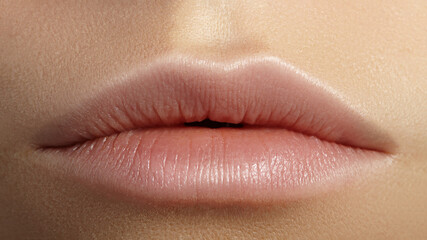 Perfect Natural Lip Makeup. Close Up Macro Photo with Perfect Clean Skin, Light Fresh Lip Make-up. Beautiful Spa Lips