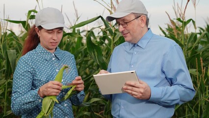 agriculture, farmers handshake field, business corn farm, farmer working tablet with partner, business handshake, health, male, cultivated, man, handshake, teamwork, check, connection, modern, corn