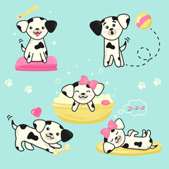 Vector cute dalmatian pet dog in different poses in kawaii style in grooming salon

