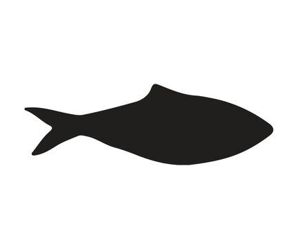 ilisha hilsa fish silhouette, white background