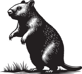 Wombat in Monochrome