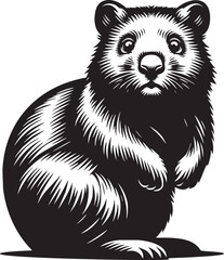 Wombat Wonder