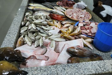 fish market - Barka, Muscat, Oman