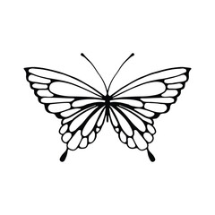 Butterfly line art. Simple minimal butterfly line tattoo icon logotype. Butterfly Black And White Illustration White Background. Butterfly Coloring Book