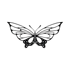 Butterfly line art. Simple minimal butterfly line tattoo icon logotype. Butterfly Black And White Illustration White Background. Butterfly Coloring Book