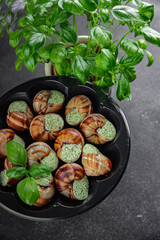 snails green butter aromatic herbs tasty fresh eating cooking appetizer meal food snack on the table copy space food background rustic top view