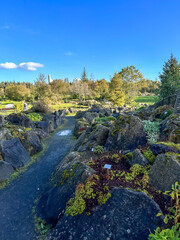 Grasagar&eth;ur Botanical Garden, Iceland garden path