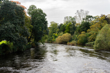 Fototapeta na wymiar Beautiful Irish landscape seen from the bridge of a mighty river with beautiful giant trees on its banks of different shades in early autumn