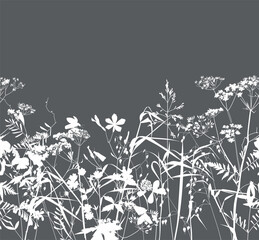 Seamless pattern. Field flowers and grasses, line drawing. Vector illustration - obrazy, fototapety, plakaty