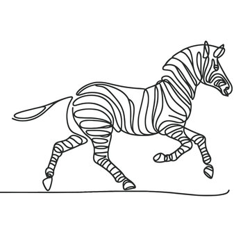 Zebra in a line drawing style