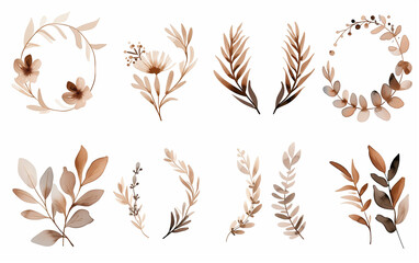 Collection of watercolor foliage plants clipart on white background. Botanical spring summer leaves illustration. Suitable for wedding invitations, greeting cards, frames and bouquets.