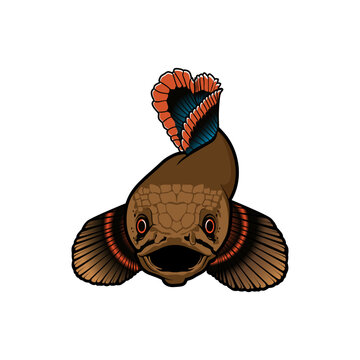 logo ikan channa limbata vektor