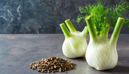 Fennel and fennel cloves, copyspace on a side