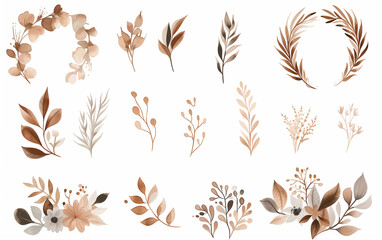 Fototapeta na wymiar Collection of watercolor foliage plants clipart on white background. Botanical spring summer leaves illustration. Suitable for wedding invitations, greeting cards, frames and bouquets.