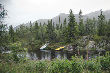 Bucolic landscape in the norwegian forest