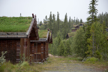 Bucolic landscape in the norwegian forest