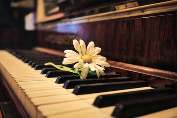Piano and Flower - Beautiful - Keys - Vintage - Background - Music - Instrument - Close-Up -...