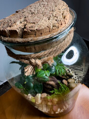 Decoration bonsai in a glass bottle. Garden terrarium bottle. Bonsai Forest in a jar. Terrarium jar with piece of forest with self ecosystem. Save the earth concept. Bonsai, set of terrariums, jars.