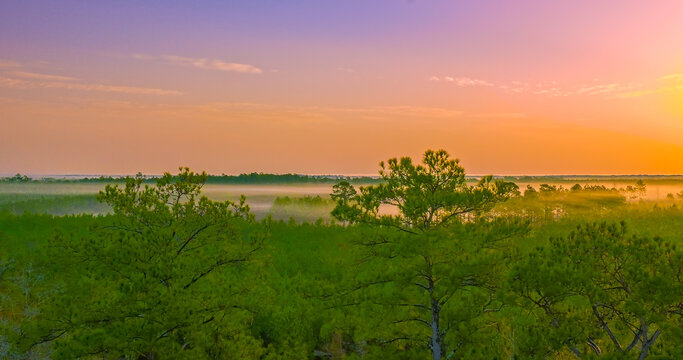Aerial view of Fog in the treetops on a misty morning sunrise in the Southeastern USA.