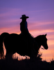 silhouette of horse and rider vertical shot black subject of western rider cowgirl on horse with...