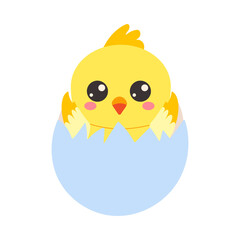 Vector cartoon cute chicken in egg