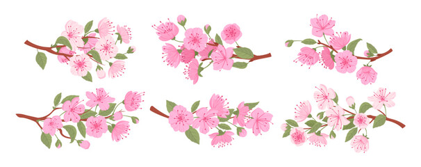 Sakura blooming branches. Spring japanese cherry tree, sakura flowers and buds flat vector illustration set. Traditional asian blooming branch collection - obrazy, fototapety, plakaty
