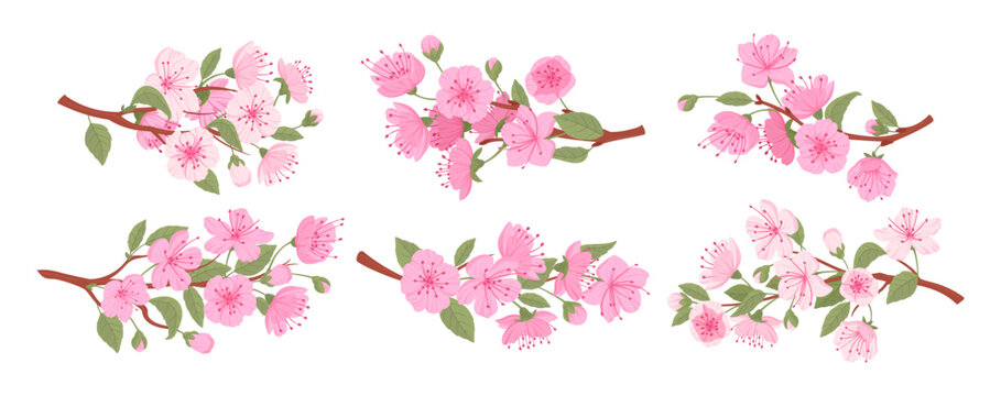 Sakura blooming branches. Spring japanese cherry tree, sakura flowers and buds flat vector illustration set. Traditional asian blooming branch collection