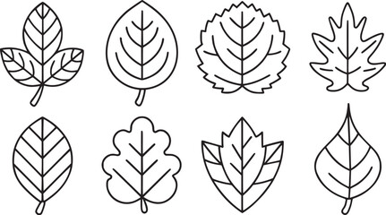 leaves thin line icon set vectors collections. 