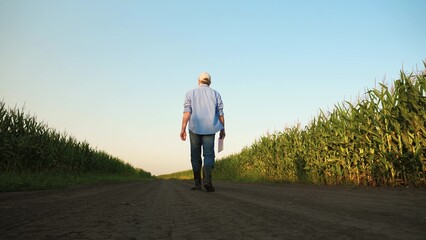 senior farmer walking along corn field rubber boots, farmer walking across field rubber boots,...