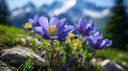 Fototapeta premium Group of Purple Flowers on a Lush Green Hillside