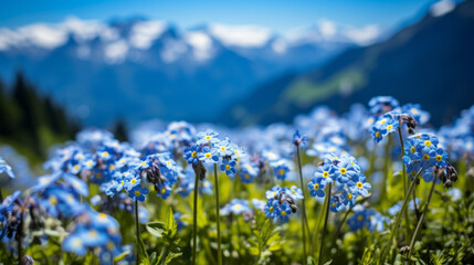 A Field of Blue Flowers With Mountains in the Background