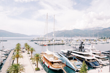 Fototapeta na wymiar Luxury sailing and motor yachts line the palm-lined piers of the luxury marina