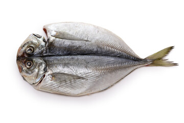 semi-dried horse mackerel isolated on a white background. Japanese food ingredients.