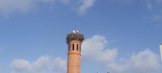 minaret of mosque