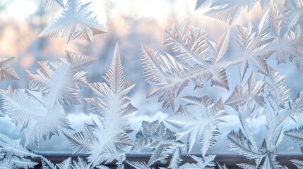 Frost Patterns on Window