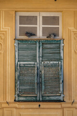 Romantic backstreet, side street or alley in historic old town of Genoa, Italy with historic...