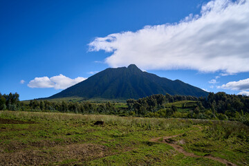 Fototapeta premium Views while on a guided trek in Volcanoes National Park, Rwanda