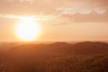 Foggy meadow at sunset